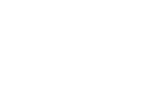 bmw logo