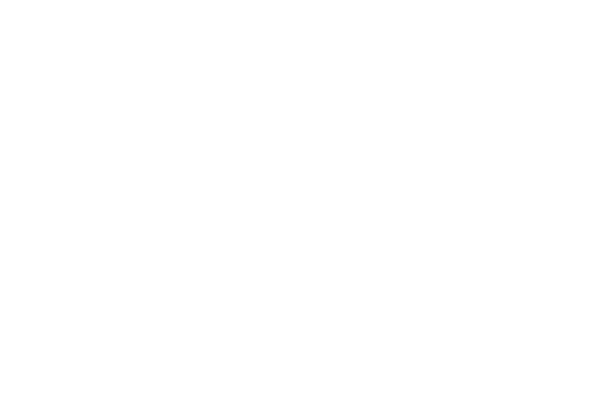 Nexa logo