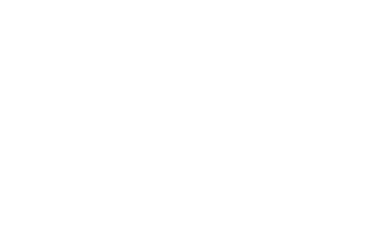 quicks logo