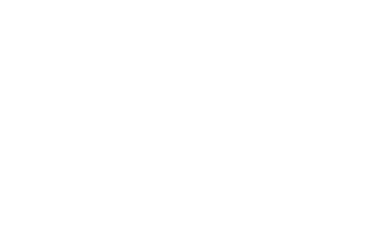 nesto logo