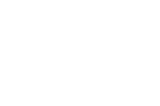 yes bharath logo