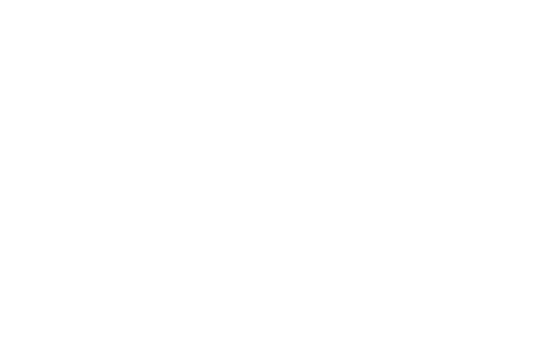 Team Thai logo