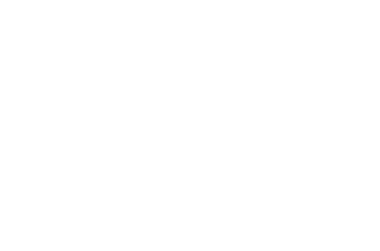 wedsindia logo